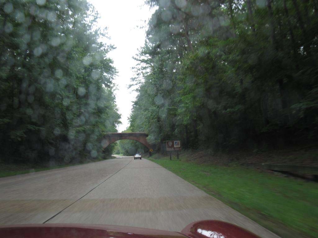 05IMG_1085