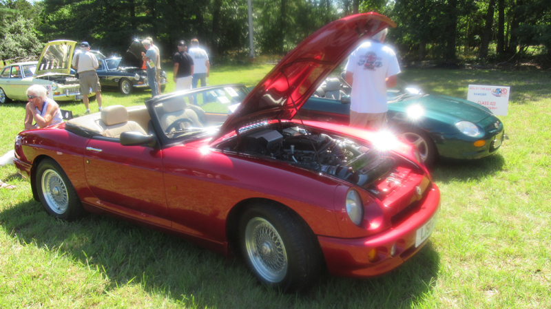 a131IMG_6231